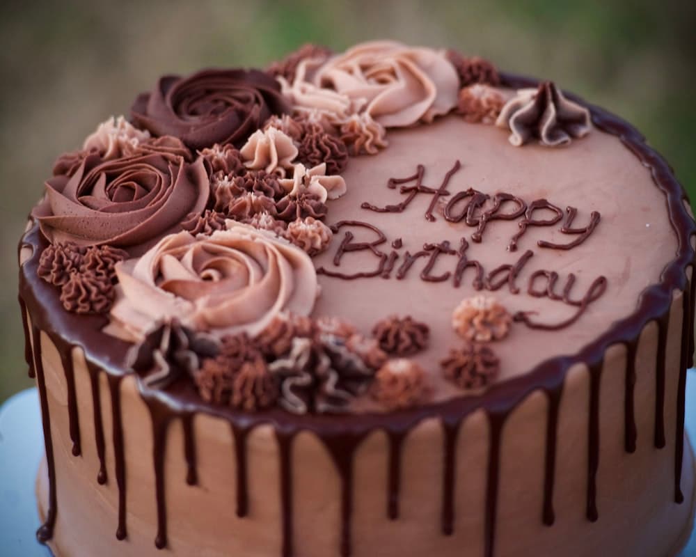 Belgian Chocolate Cake